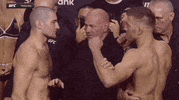Mixed Martial Arts Sport GIF by UFC