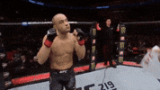 mma ufc218 GIF by UFC