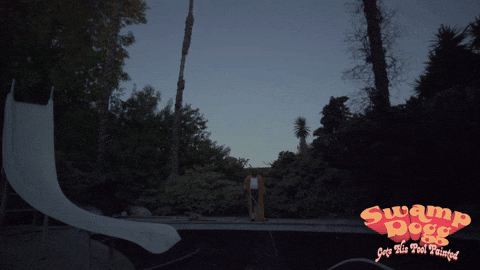 GIF by Magnolia Pictures