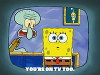 Episode 1 GIF by SpongeBob SquarePants