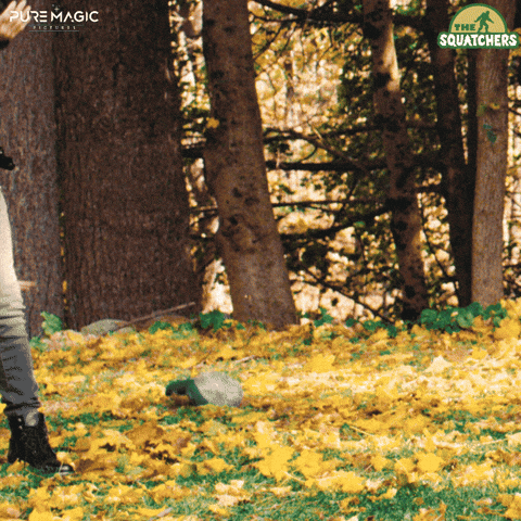 Fall Fail GIF by PureMagicPictures