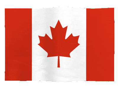 Climate Change Flag Sticker by Meltdown Flags