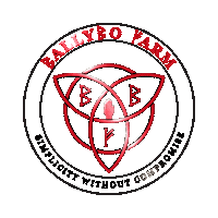 PS_CrushingandScreening precisionscreen ballybo Sticker