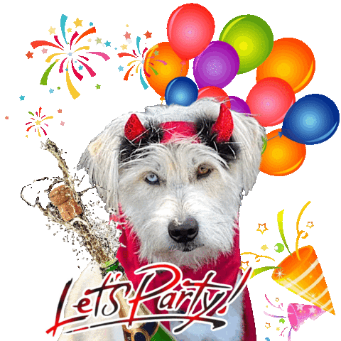 Celebrate Happy Birthday Sticker by Pimp Yo Pets