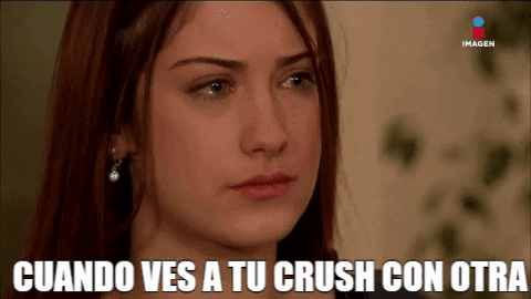 GIF by Imagen Televisión