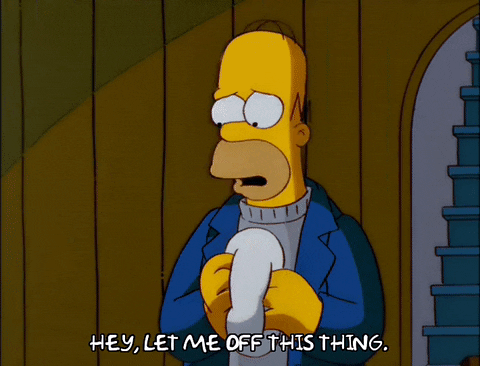 homer simpson GIF