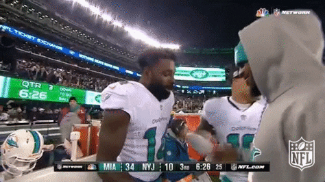 Miami Dolphins Hug GIF by NFL
