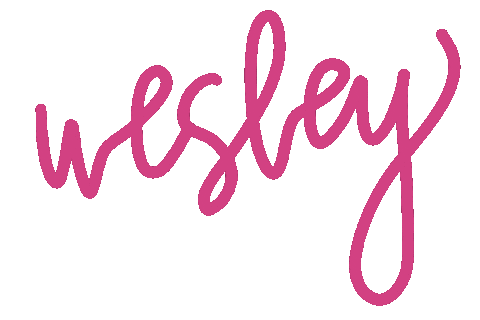 anelaleeofficial picnic wesley wes anela Sticker