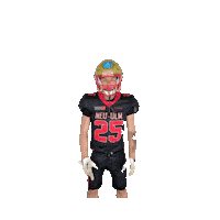neu-ulm-spartans football nuspartans Sticker