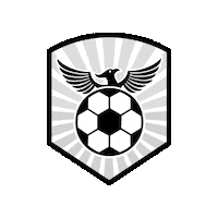 Together We Rise Sticker by RISE Soccer Club