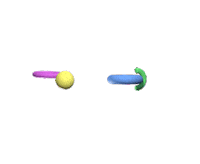Animation Loop Sticker