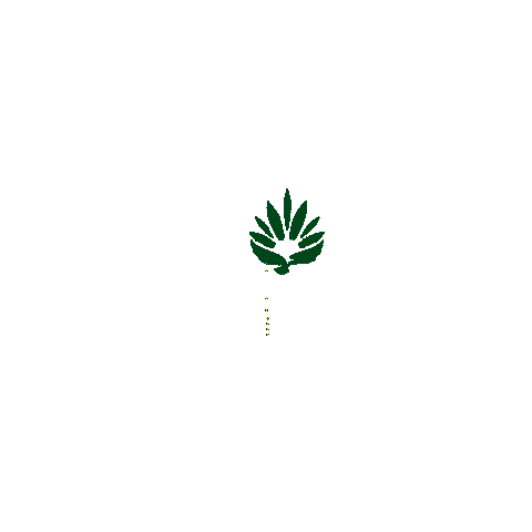 Weed Marijuana Sticker by Rise Cannabis