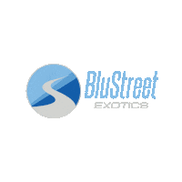 Exotic Car Sticker by BluStreet
