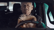 Bill Murray Jeep GIF by ADWEEK