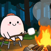 Forest Camping GIF by Bereishis Foundation