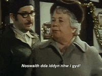 carwpiws cymraeg s4c teledu carw piws GIF