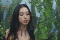 Shoot Firecracker GIF