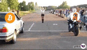 Drag Race Dog GIF by Web3 Newswire