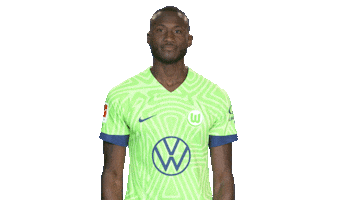 Three Points Win Sticker by VfL Wolfsburg