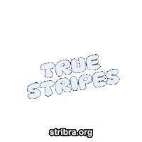 Adventure Friendship Sticker by stribra