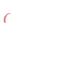 AlbinaGracheva letters буквы albinart гуляйвася Sticker