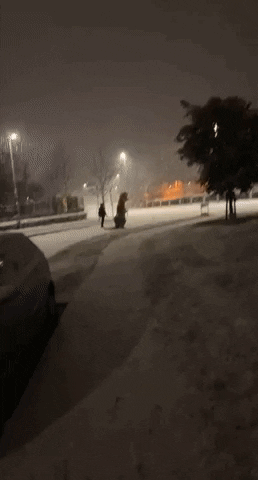 T-Rex Snow GIF by Storyful