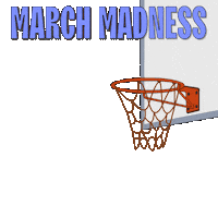 March Madness Sport Sticker by Pudgy Penguins