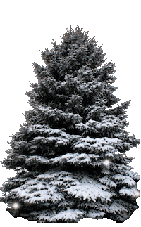 Christmas Tree Lights Sticker