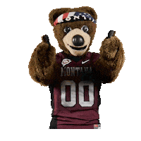College Sports Montana Sticker by College Colors Day