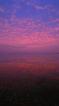cinemagraph GIF by Living Stills