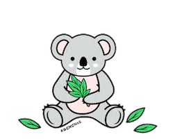 Koala Bear Australia Sticker by frenchiepetsupply