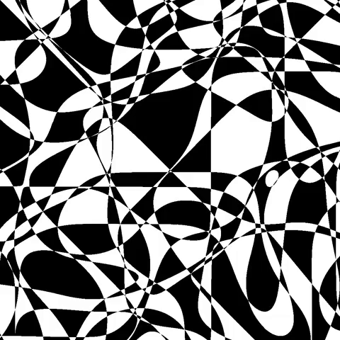 black and white noise GIF by partyonmarz
