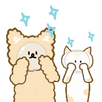 Cat Skincare Sticker