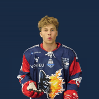 Sport Hockey GIF by BruleursDeLoups
