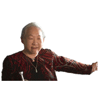 Comedy Central Dancing Sticker by Awkwafina is Nora from Queens