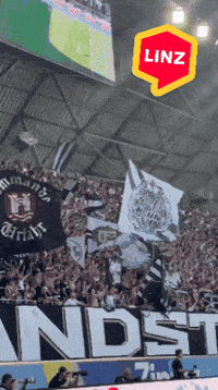 Bundesliga Fans GIF by Linz News