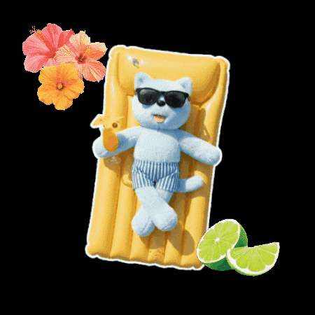 Cat Vacation GIF by comfortseoul