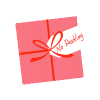 Christmas Present Gift Sticker