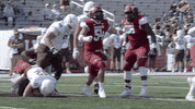 Football Flex GIF by Colgate Athletics