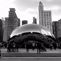 Windy City Photography GIF