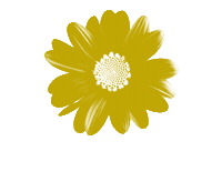Daisychain Sticker by Athleta