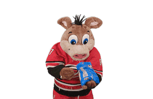 Hungry Ice Hockey Sticker by NHL