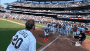 Celebrate Ny Mets GIF by New York Mets