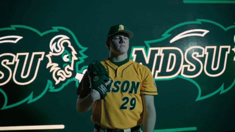 Ndsu Baseball GIF by NDSU Athletics