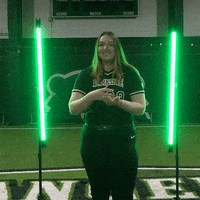 Parkside Softball GIF by Parkside Athletics