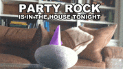 party rock GIF