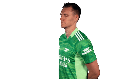 Celebrate Germany Sticker by Arsenal