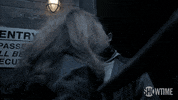season 4 showtime GIF by Shameless