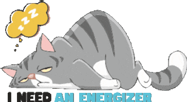 Sleepy Cat Sticker by Inednet