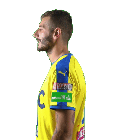 fkteplice ljeva Sticker